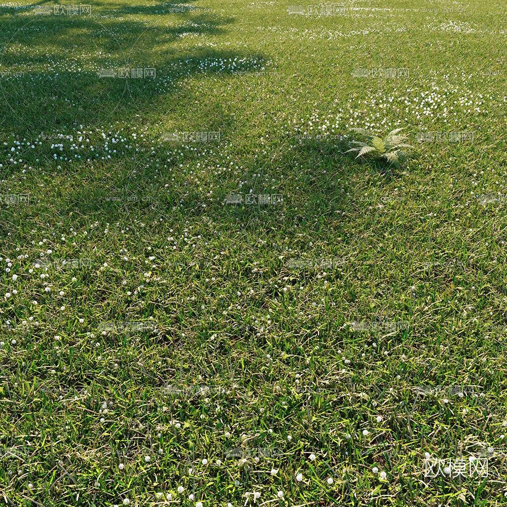 现代绿茵草坪草地3d模型
