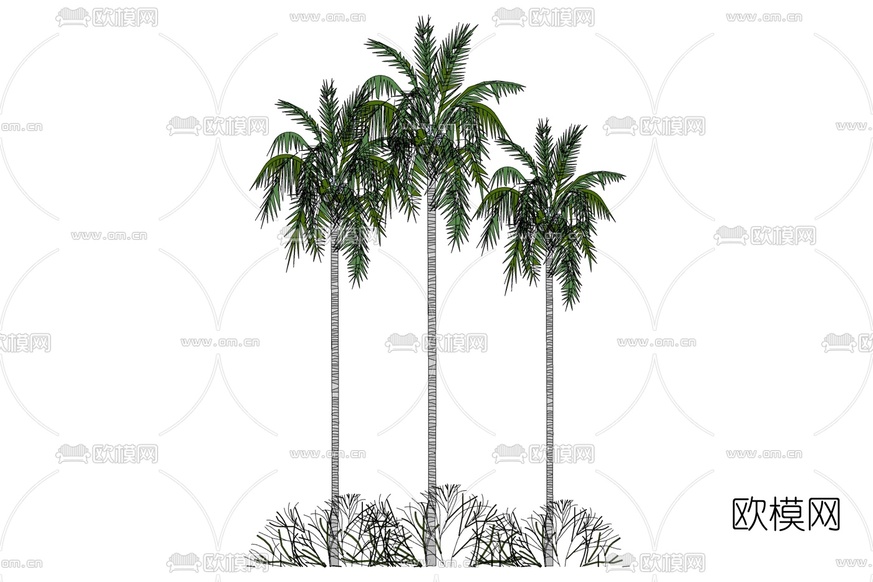 现代椰子树免费su模型下载