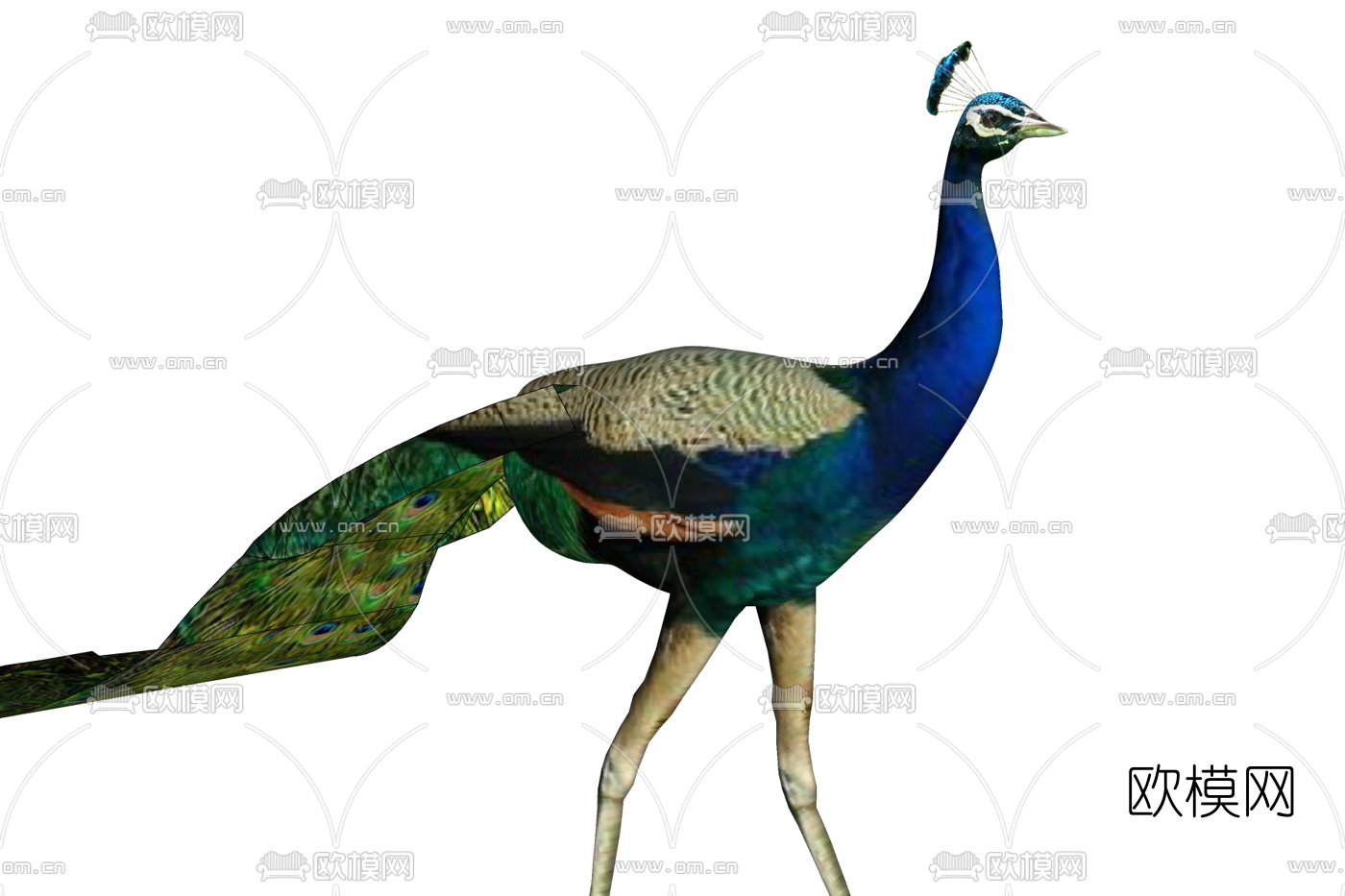 现代孔雀免费su模型下载