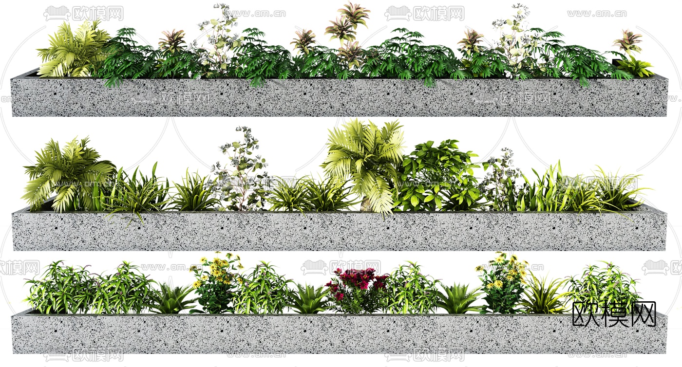 现代绿植花池花草3d模型
