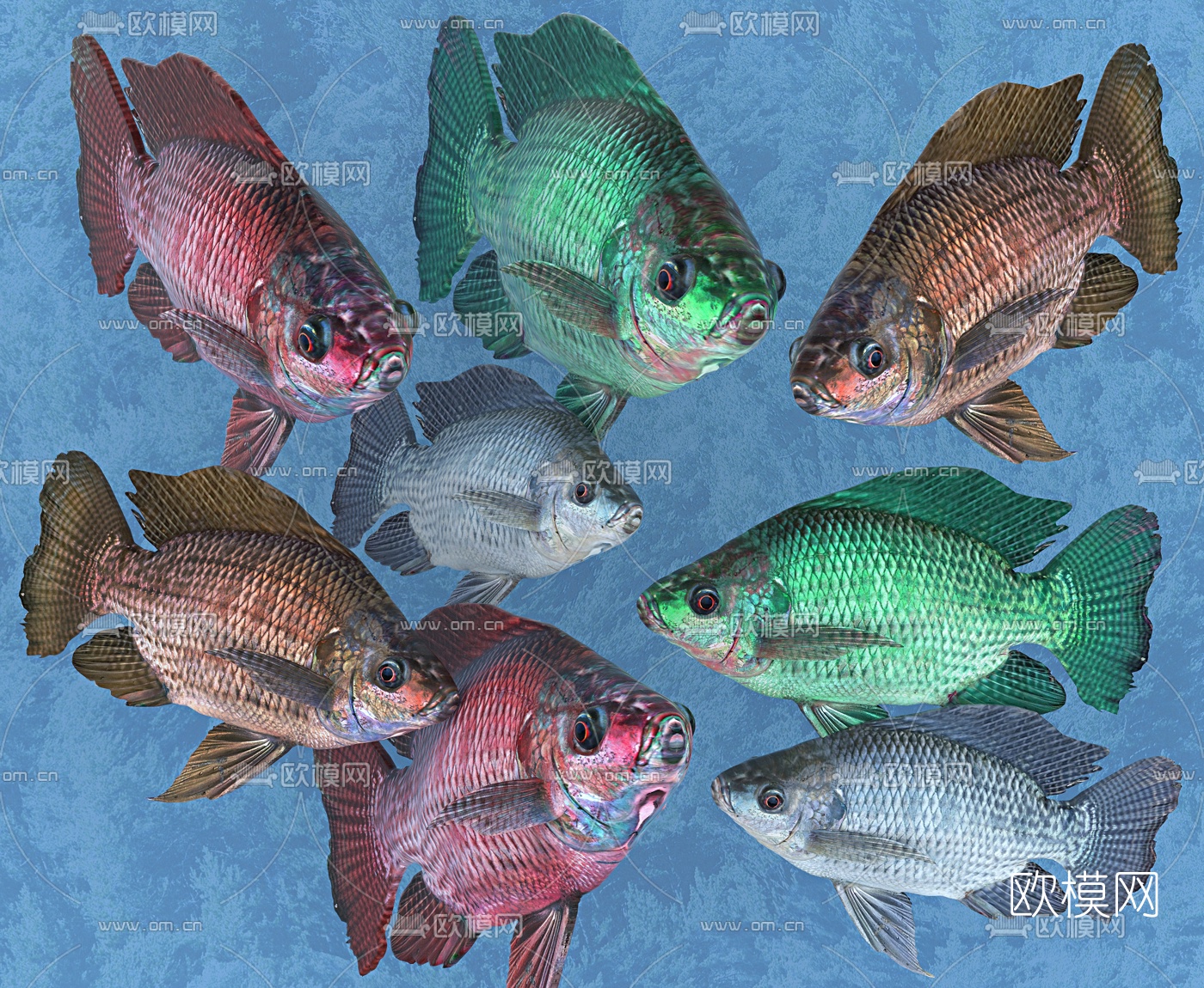 现代罗非鱼组合3d模型下载（渲染图2）