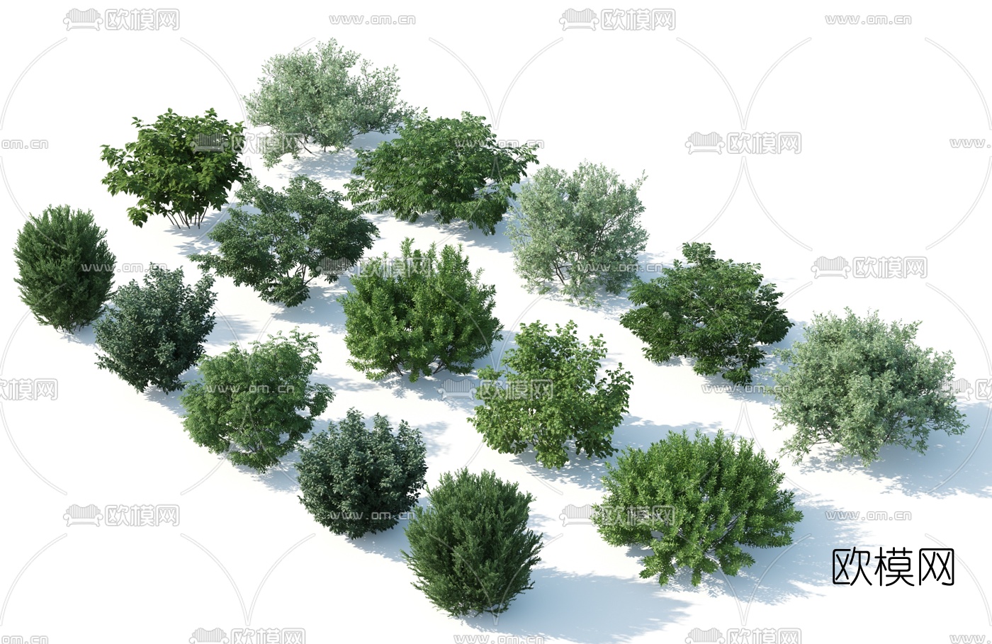 现代植物灌木3d模型