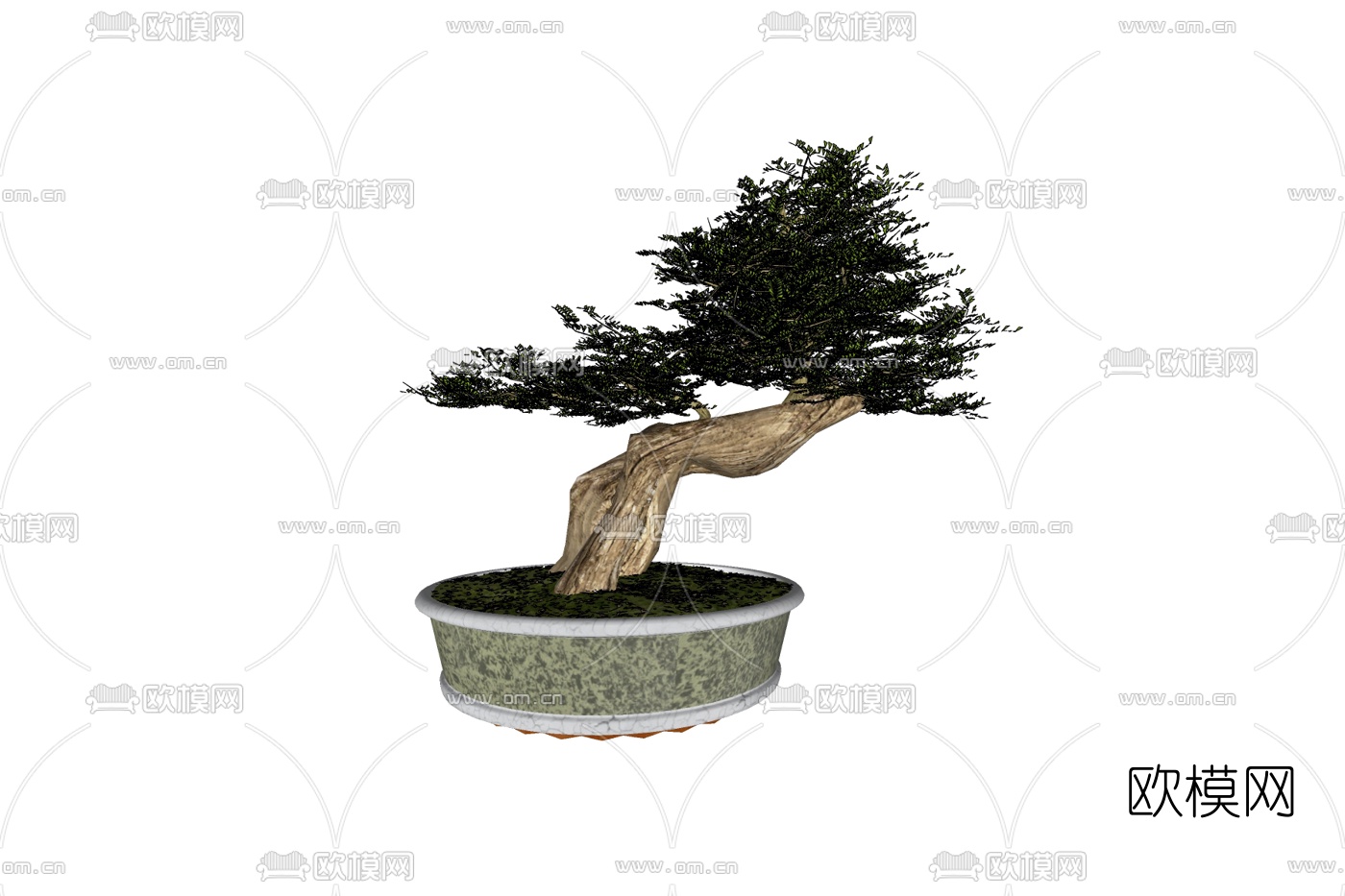 现代迎客松盆栽免费su模型下载