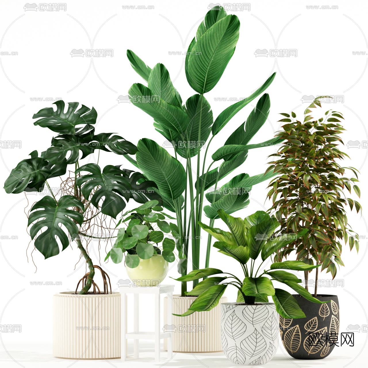 现代植物盆栽组合3d模型