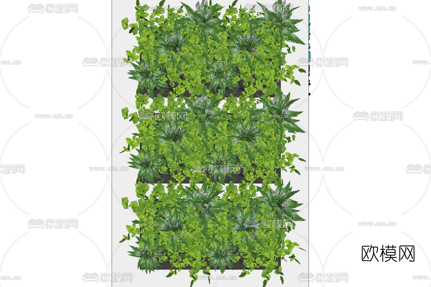 现代绿植背景墙免费su模型下载