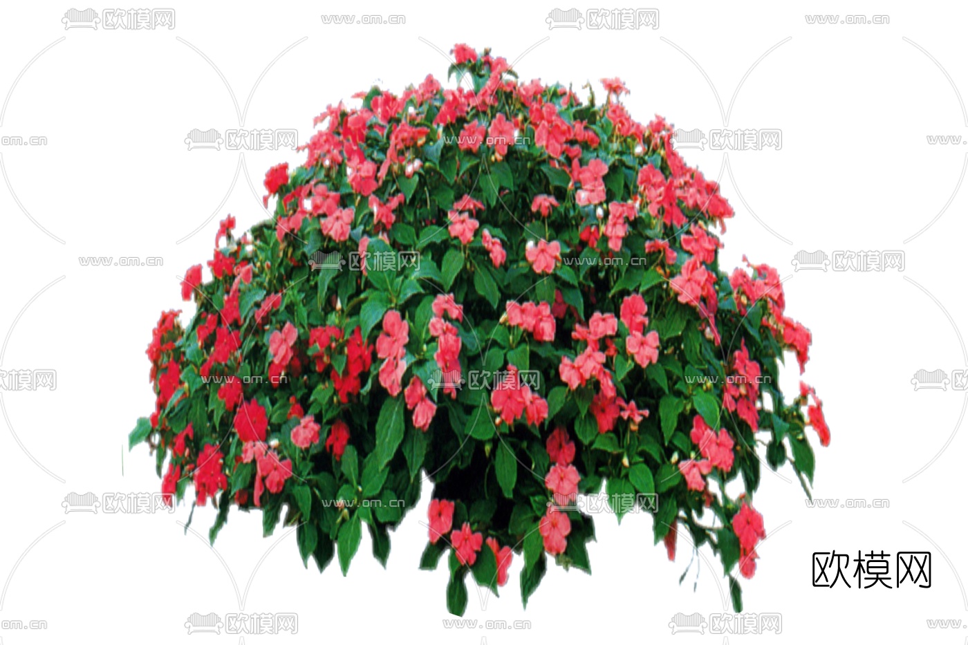 现代绿植花草免费su模型下载