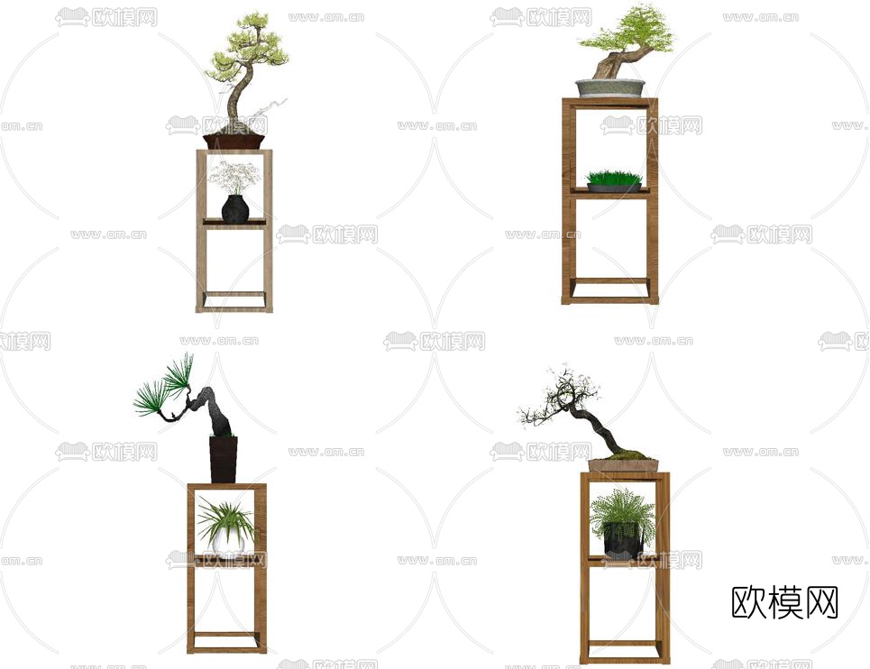 中式罗汉松松树盆栽su模型下载