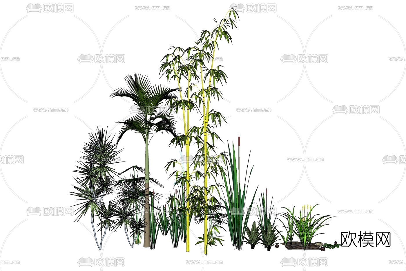现代花草植物组合免费su模型下载_ID10547940_sketchup模型下载-欧模网