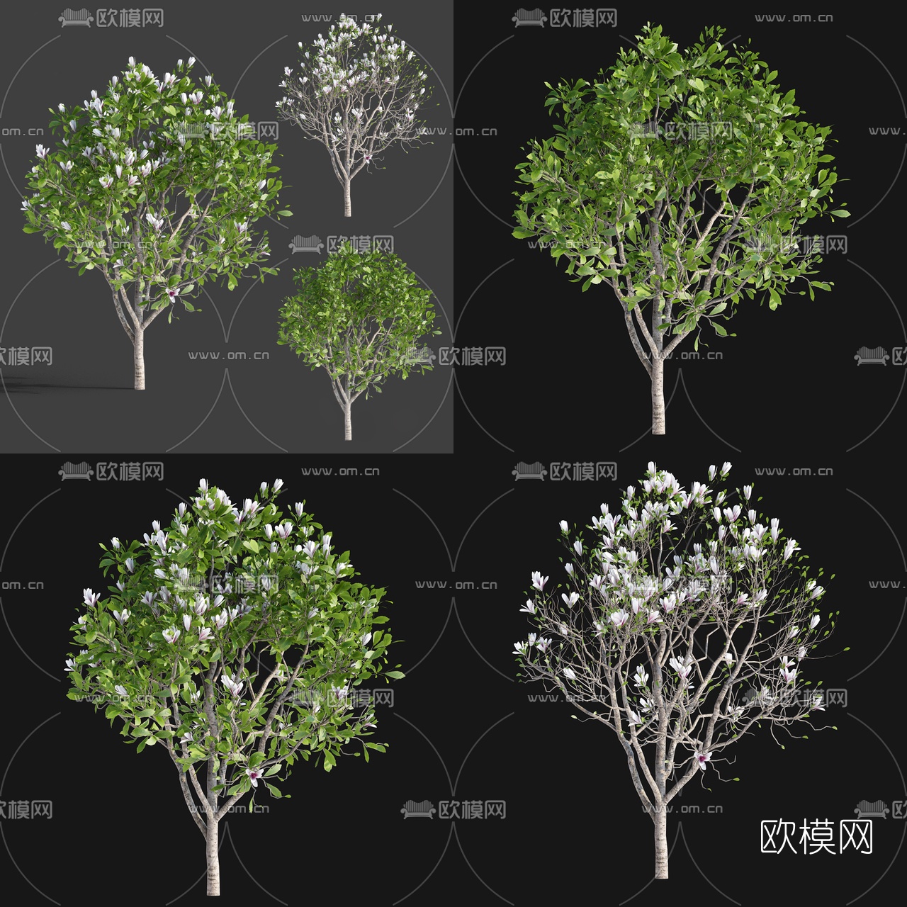 现代灌木3d模型