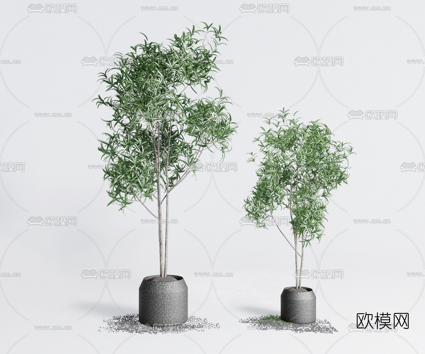 北欧绿植盆栽su模型下载（渲染图1）