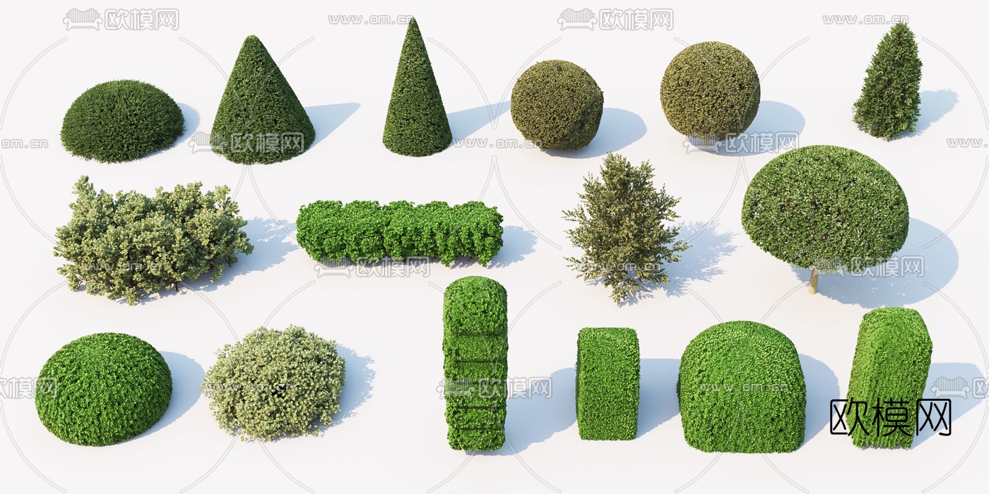 现代灌木植物3d模型
