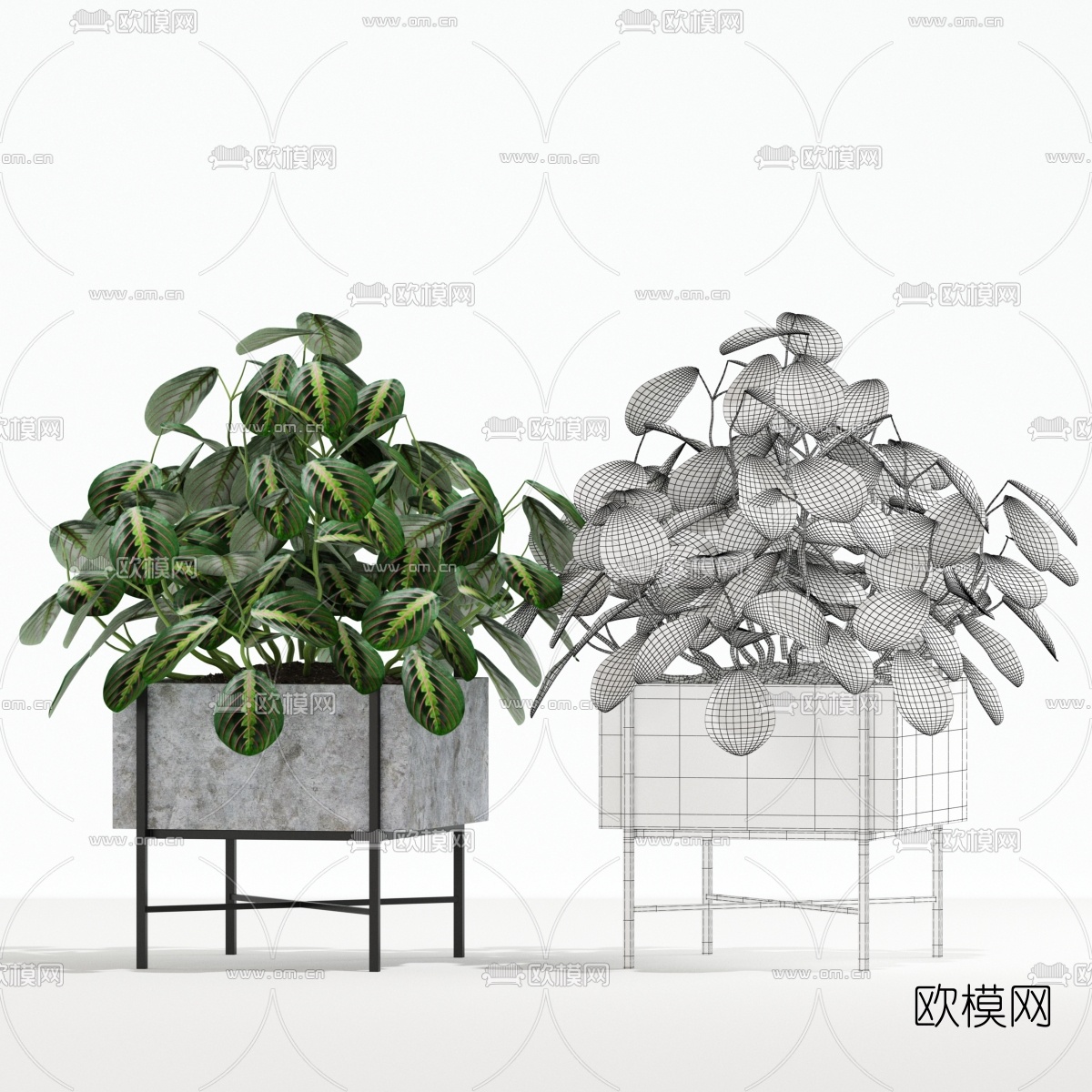 现代绿植盆栽3d模型下载（渲染图5）