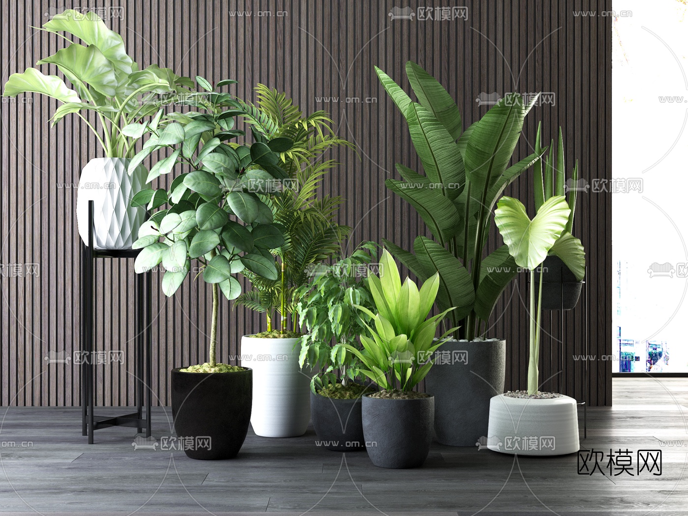 现代绿植盆栽3d模型