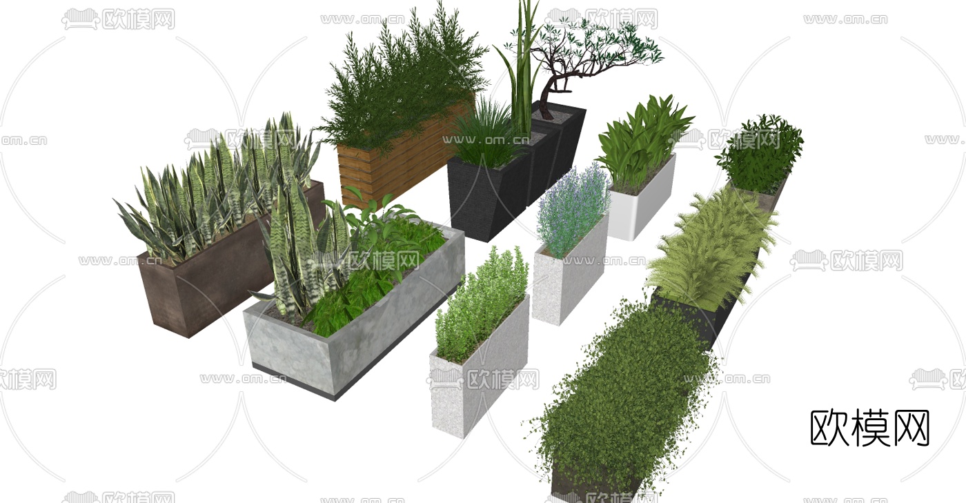 现代盆栽花槽花箱su模型下载（渲染图1）
