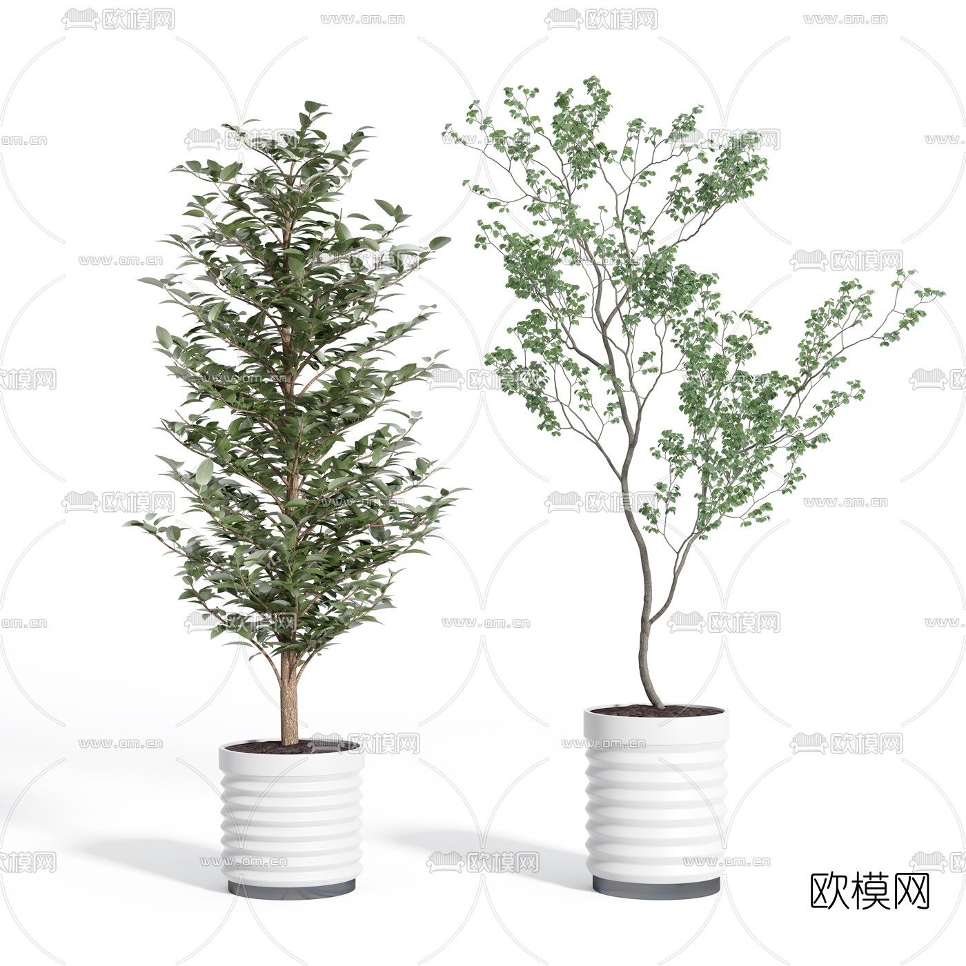 现代植物盆栽盆景3d模型