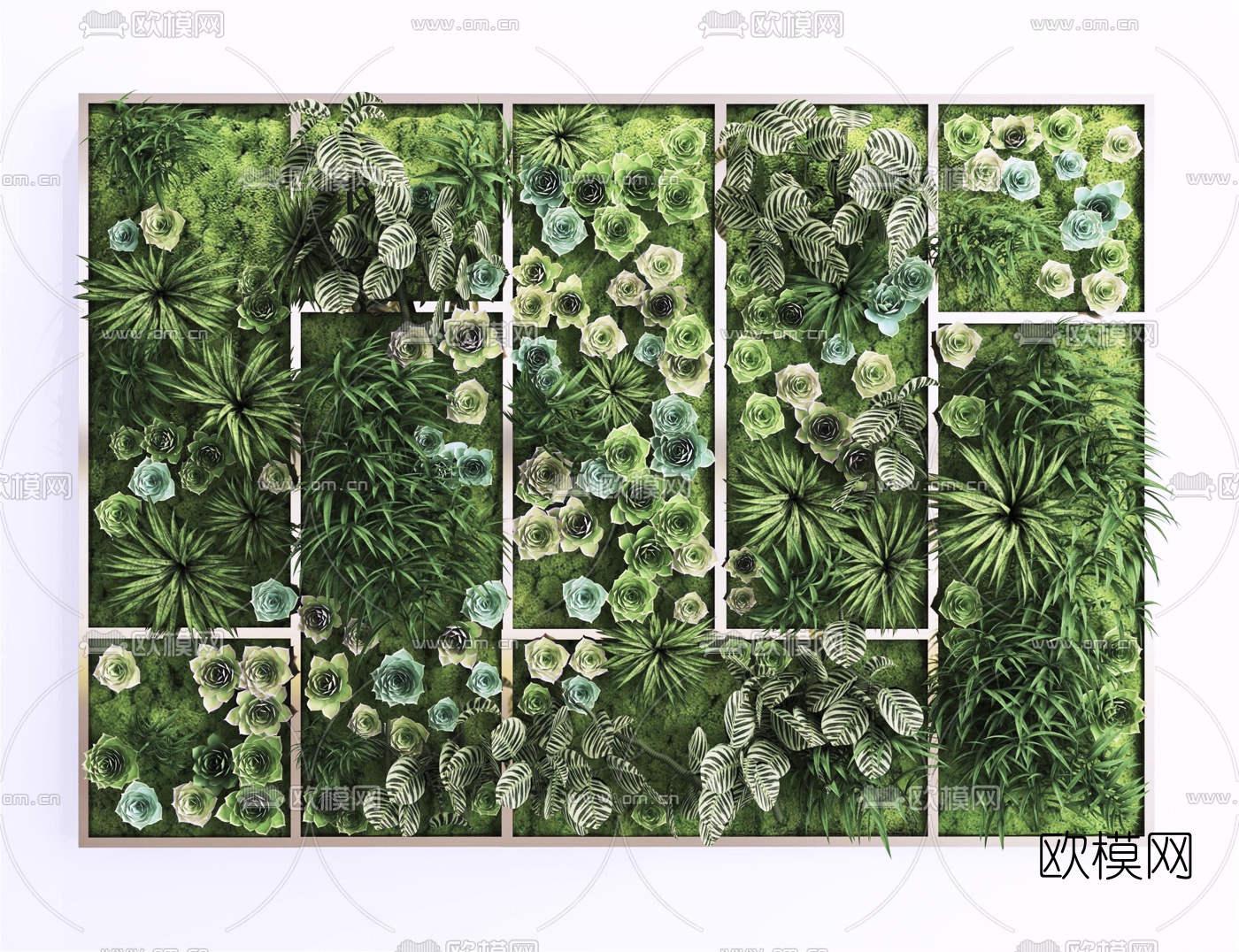 现代绿植植物墙3d模型