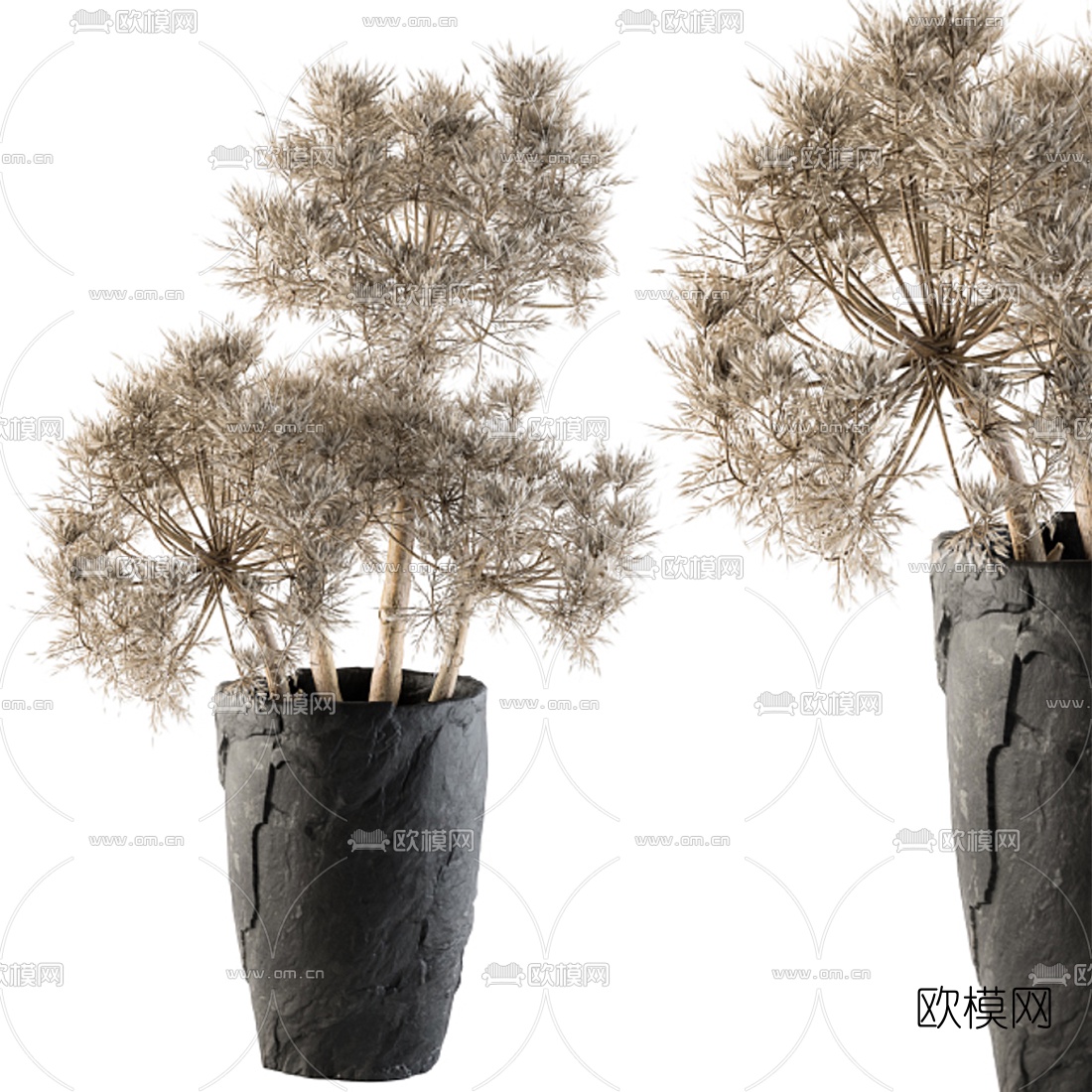 现代干花盆栽3d模型下载（渲染图1）