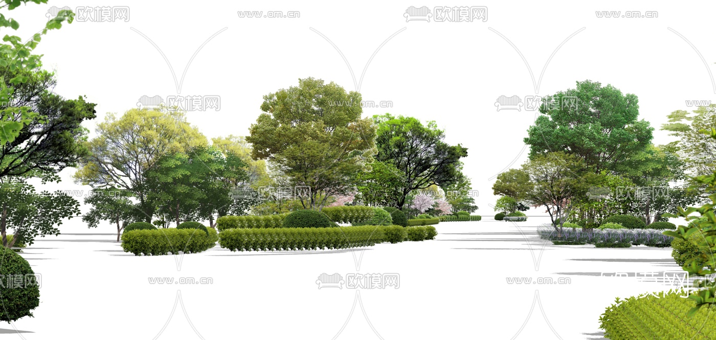 现代松树2d组件su模型