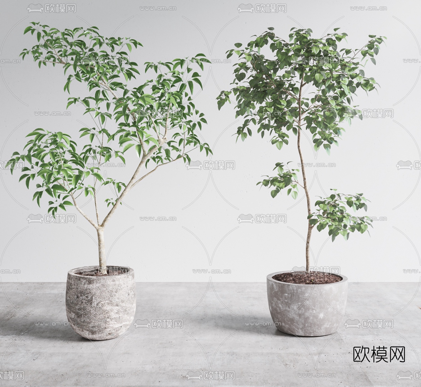 现代绿植盆栽3d模型