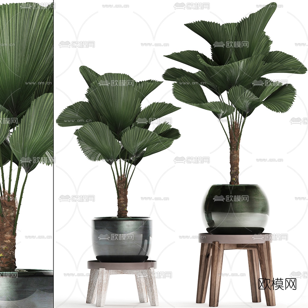 现代植物盆栽3d模型