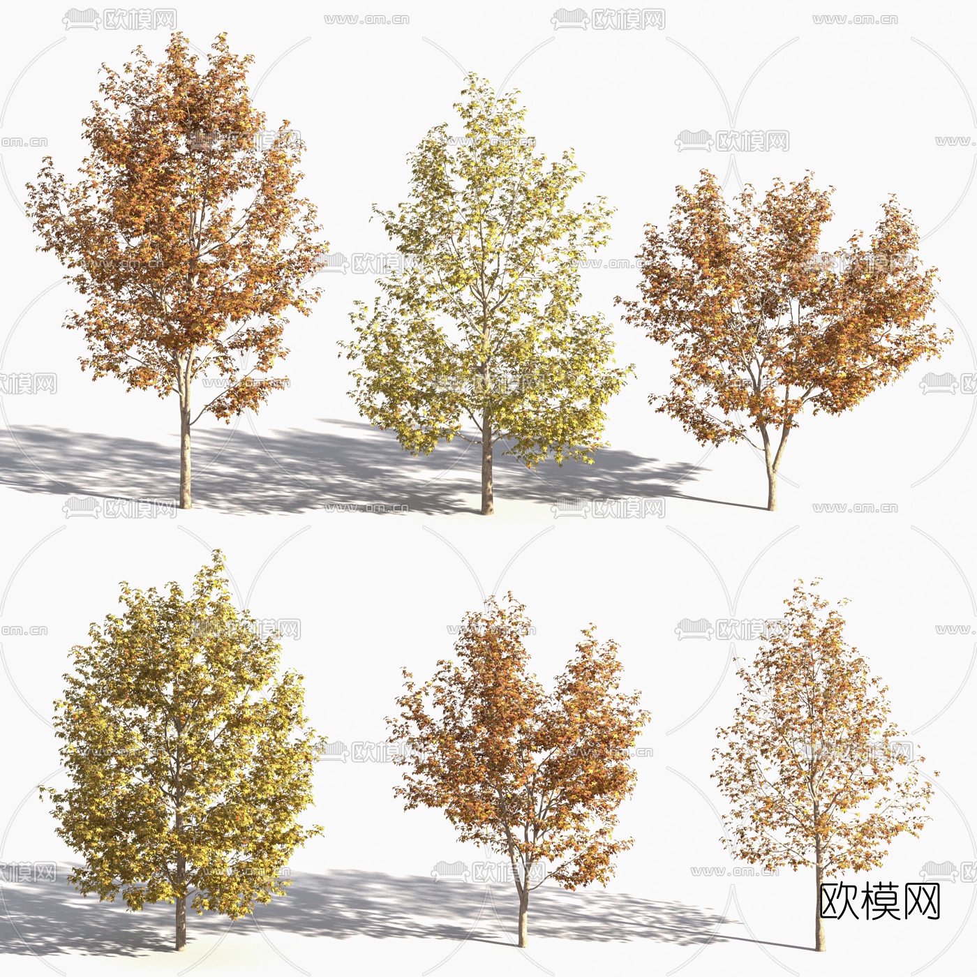 现代秋季树景观树3d模型