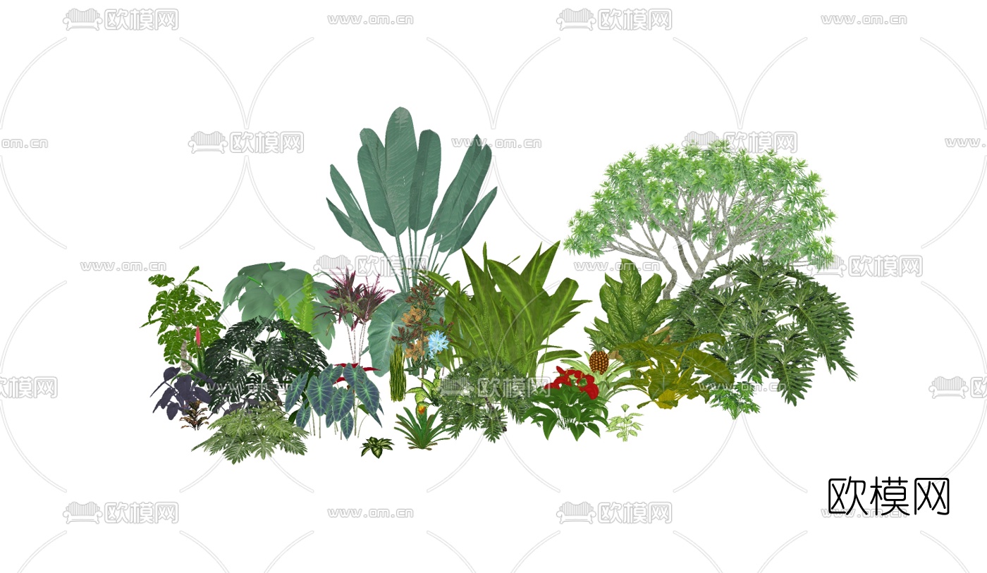 现代芭蕉树灌木丛su模型下载