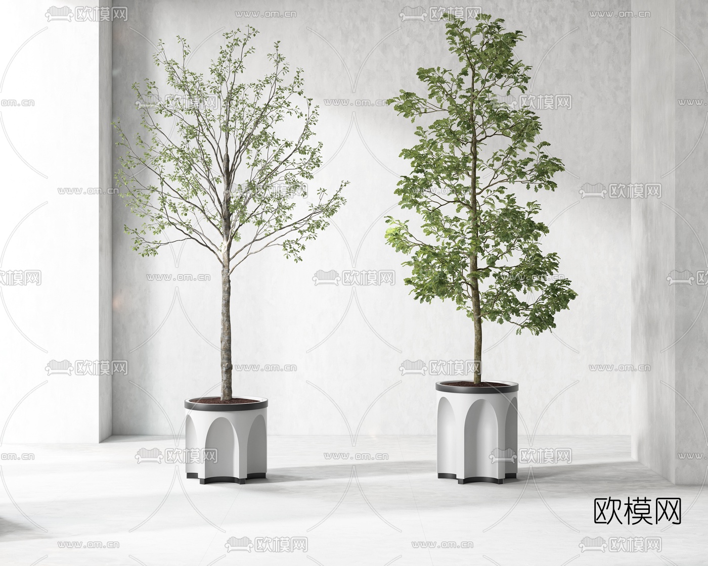 现代植物盆栽3d模型
