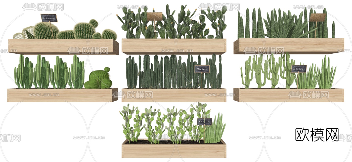 北欧仙人掌绿植盆栽su模型下载