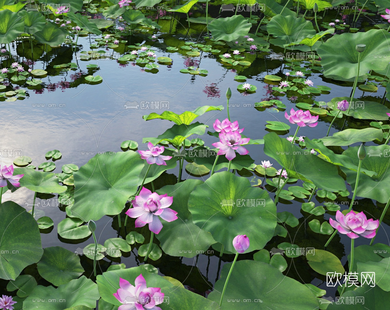 现代荷塘荷花水景3d模型