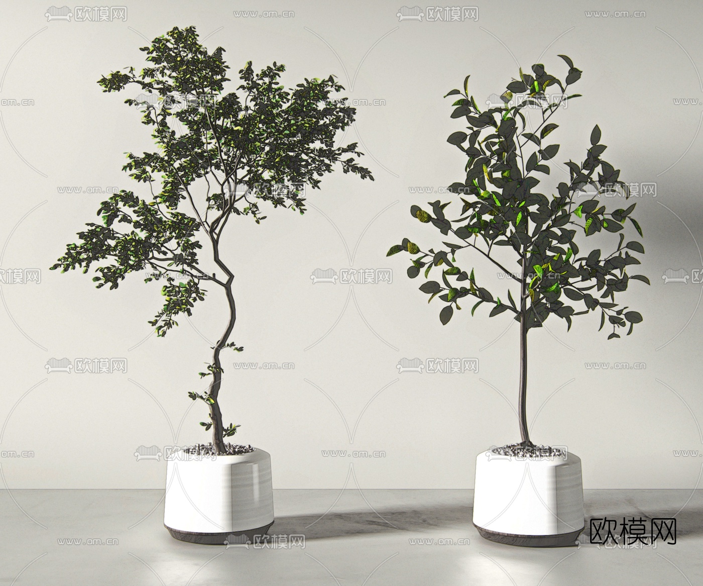 现代绿植盆栽su模型