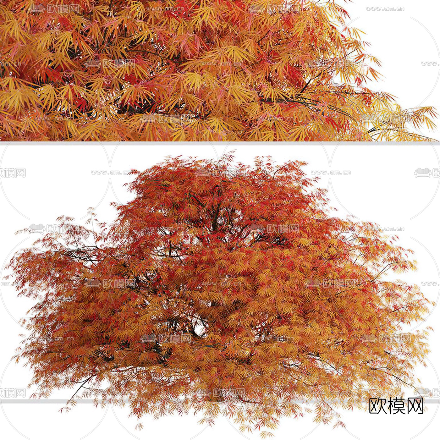 现代秋季树行道树3d模型