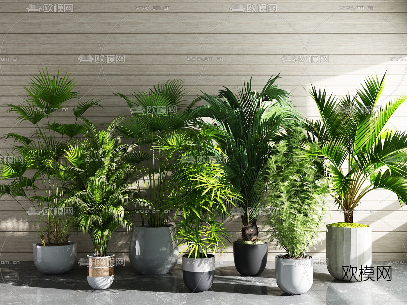 现代绿植盆栽3d模型下载