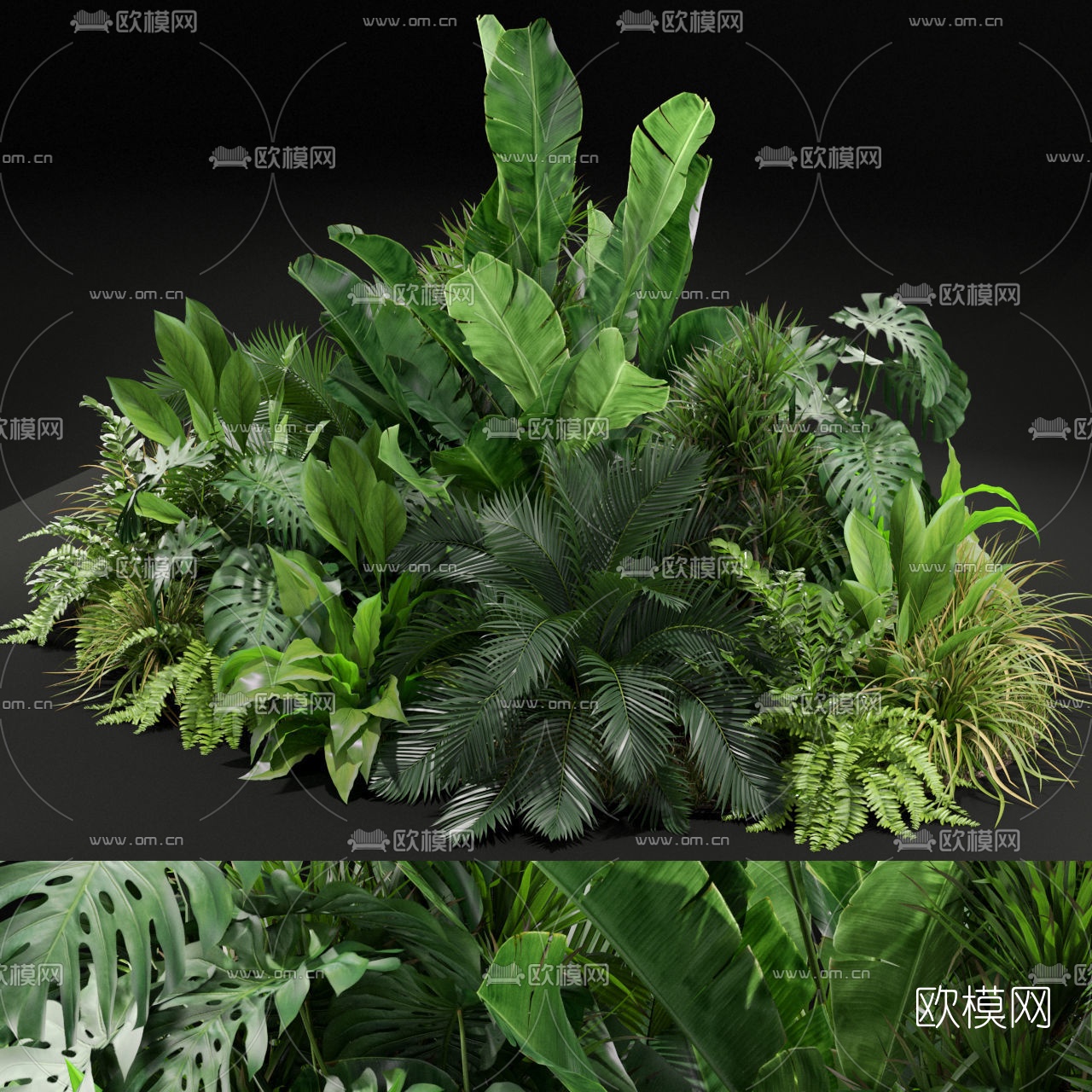 现代绿植灌木丛3d模型下载（渲染图1）