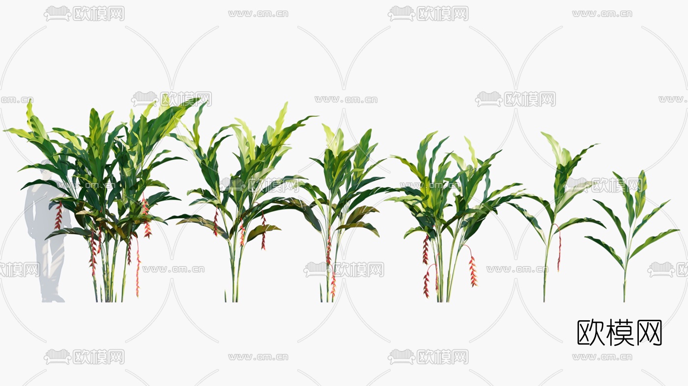 现代植物花草3d模型下载（渲染图1）