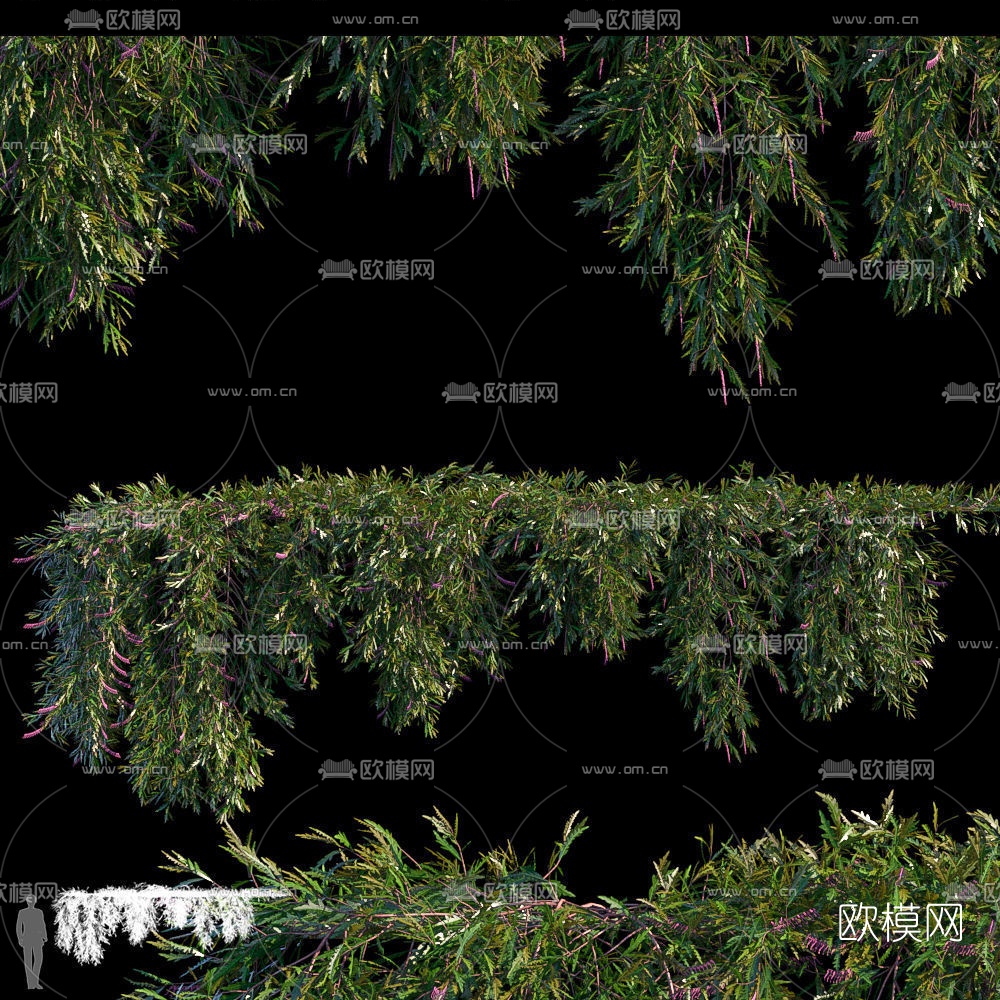 现代绿植藤蔓3d模型