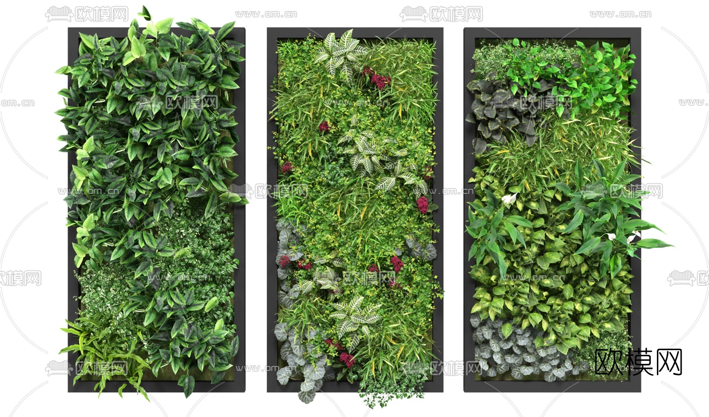 现代花草绿植墙3d模型