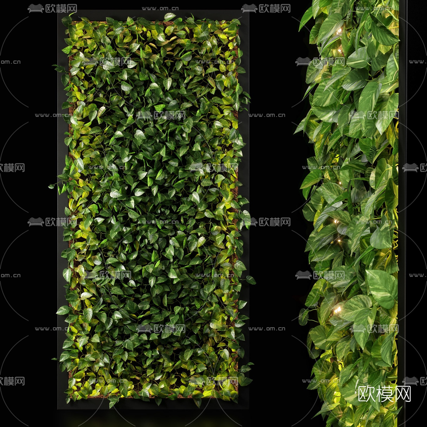现代富贵草植物墙3d模型