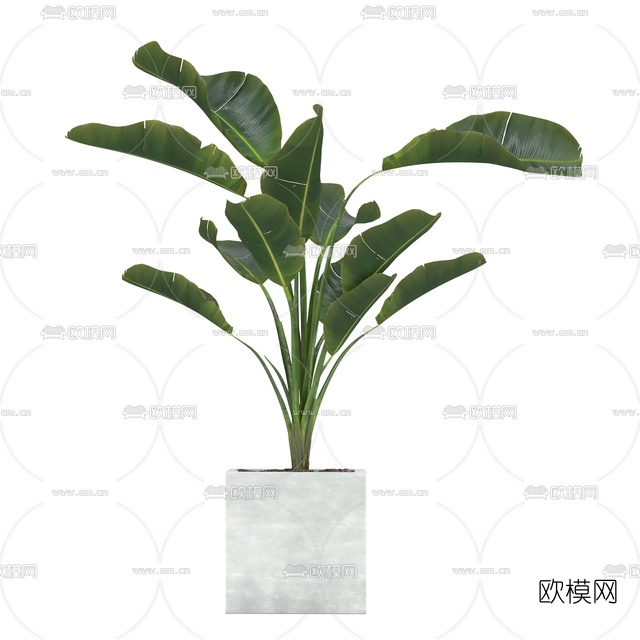 现代绿植盆栽免费3d模型下载