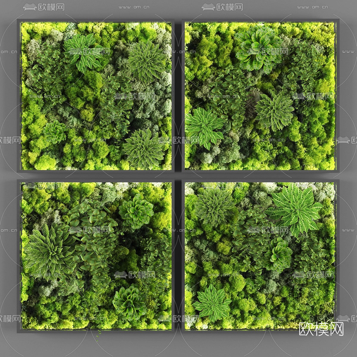 现代植物墙3d模型