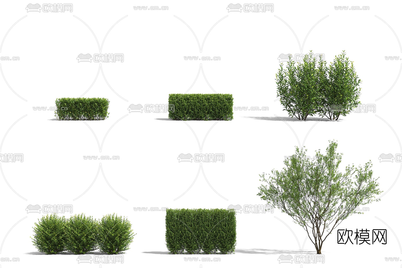 现代绿植灌木3d模型下载