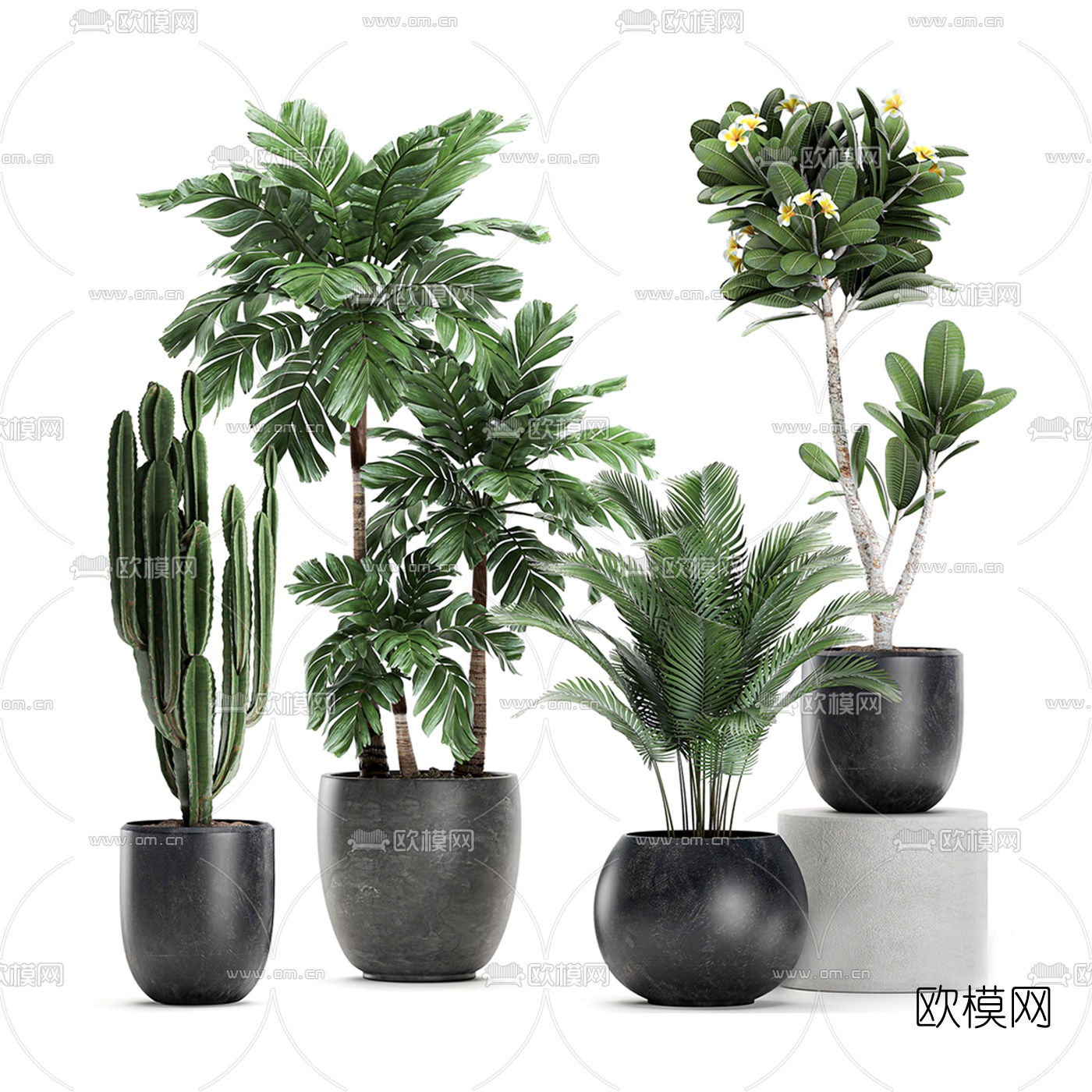 现代绿植盆栽3d模型下载