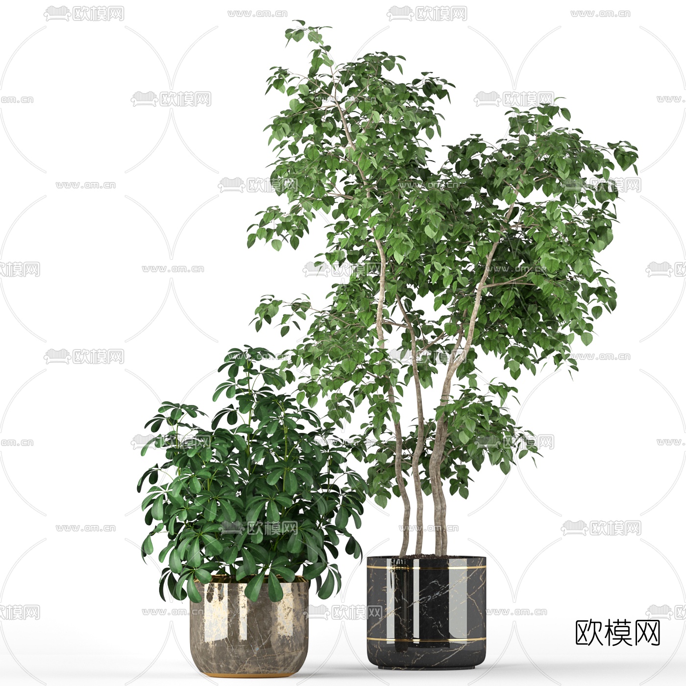 现代绿植盆栽3d模型下载