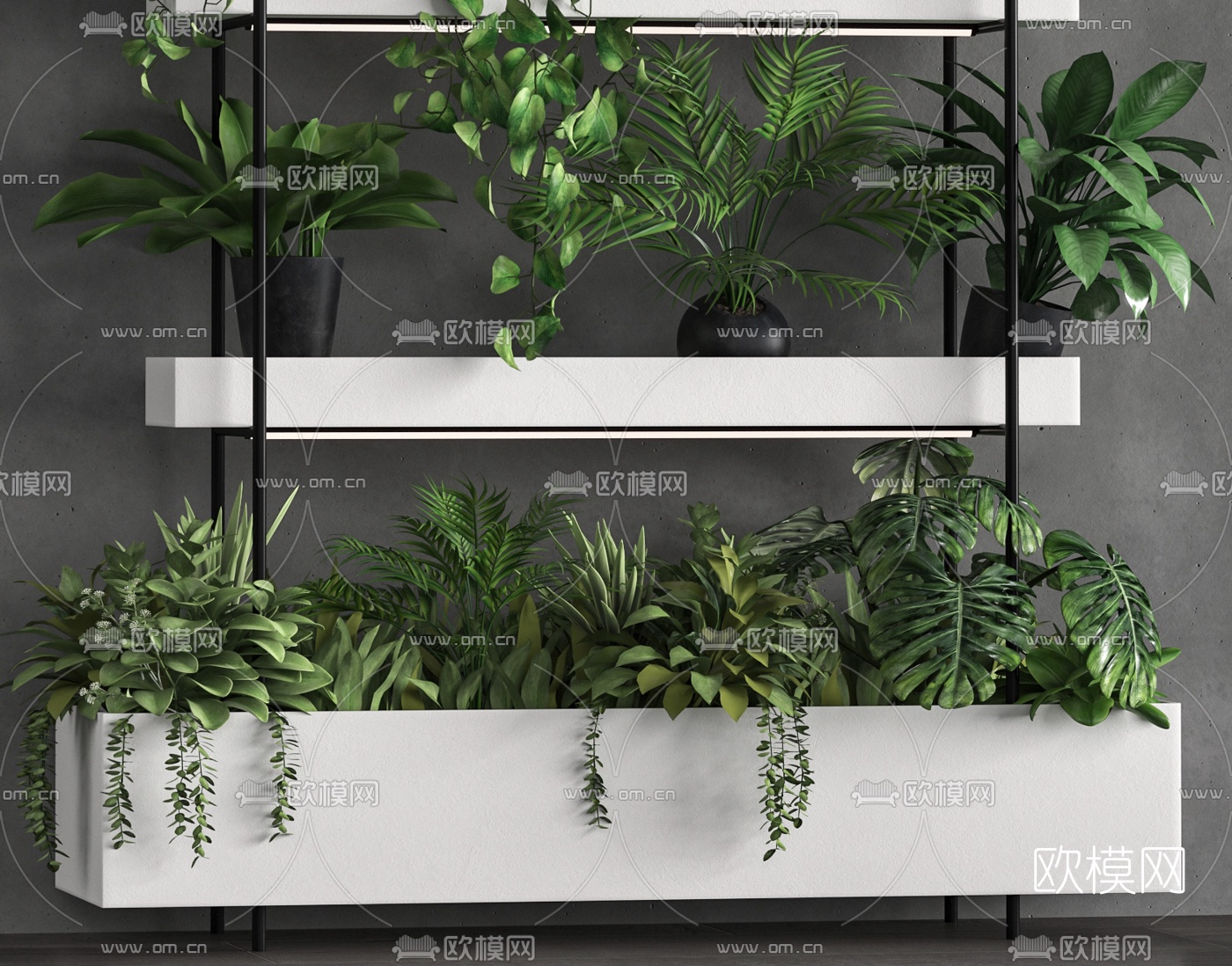 现代绿植盆栽3d模型
