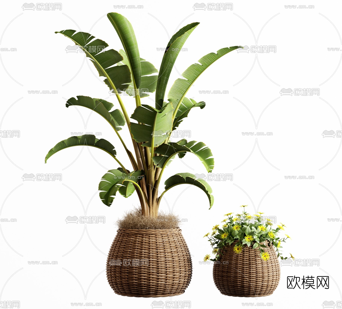 现代绿植盆栽d模型下载