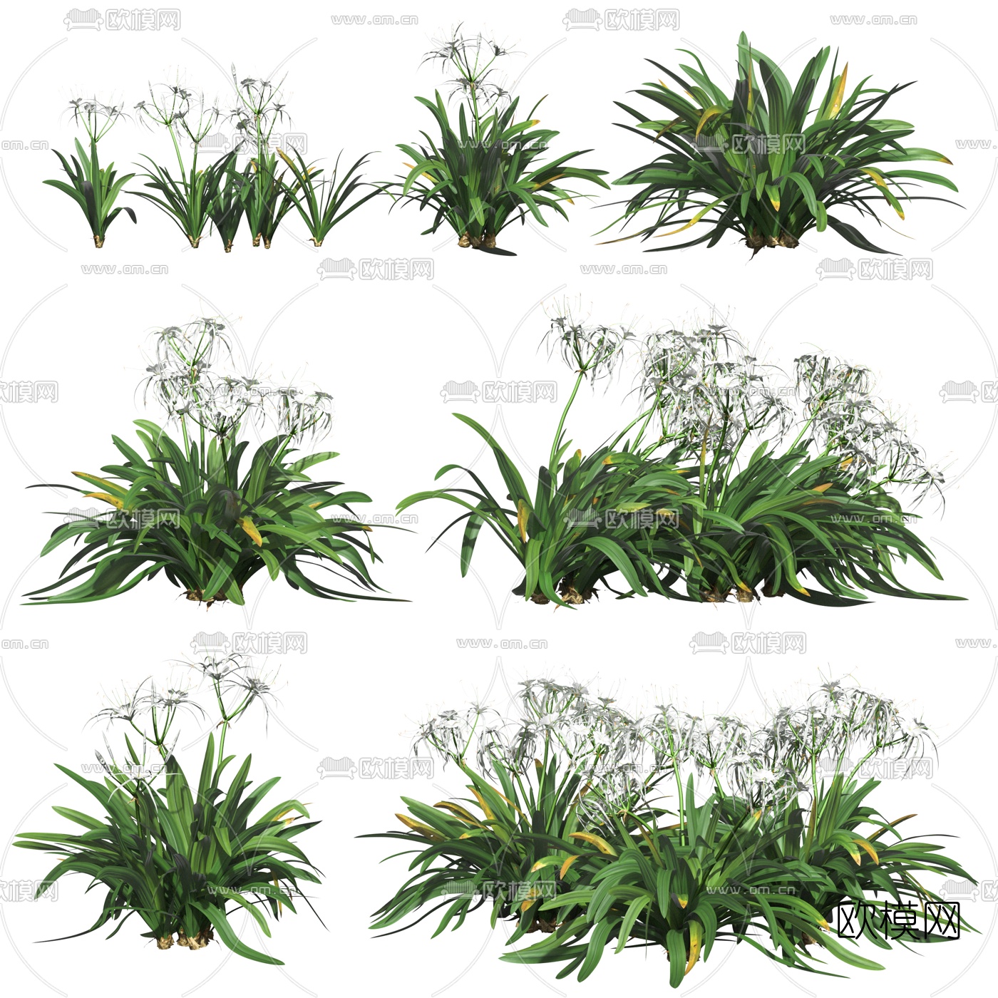 现代绿植花草3d模型下载