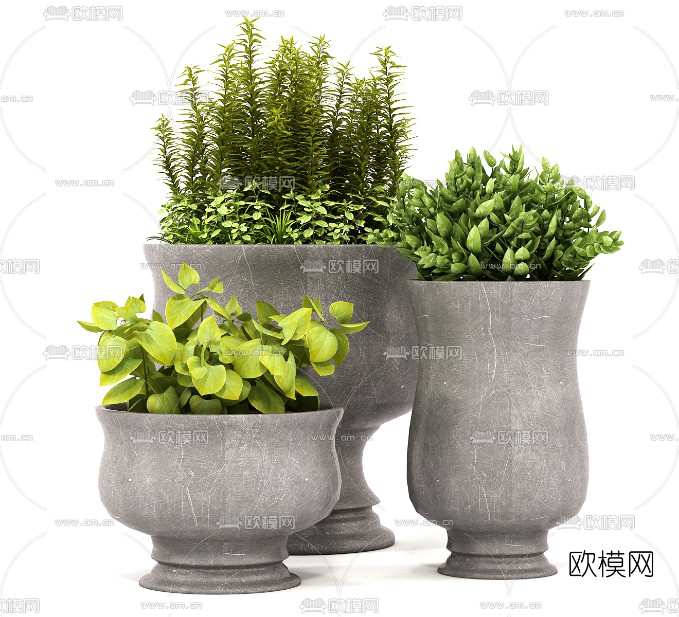 现代绿植盆栽3d模型