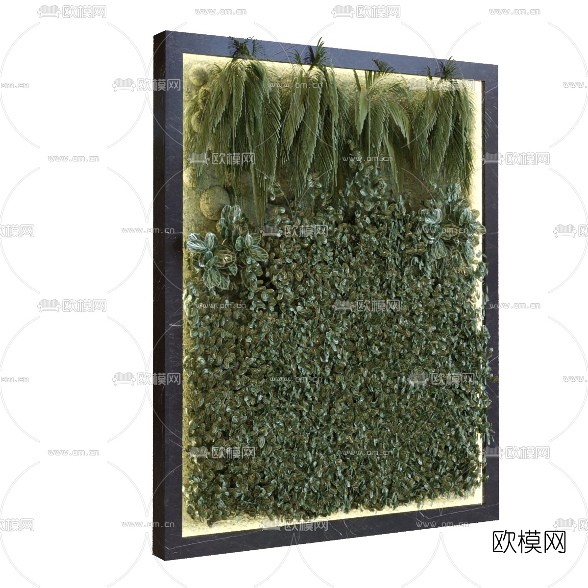 现代绿植植物墙3d模型