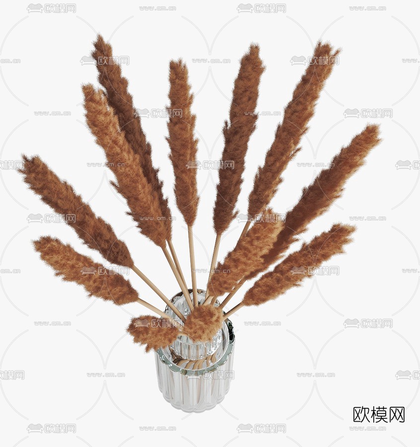 现代芦苇干花花瓶3d模型下载（渲染图3）