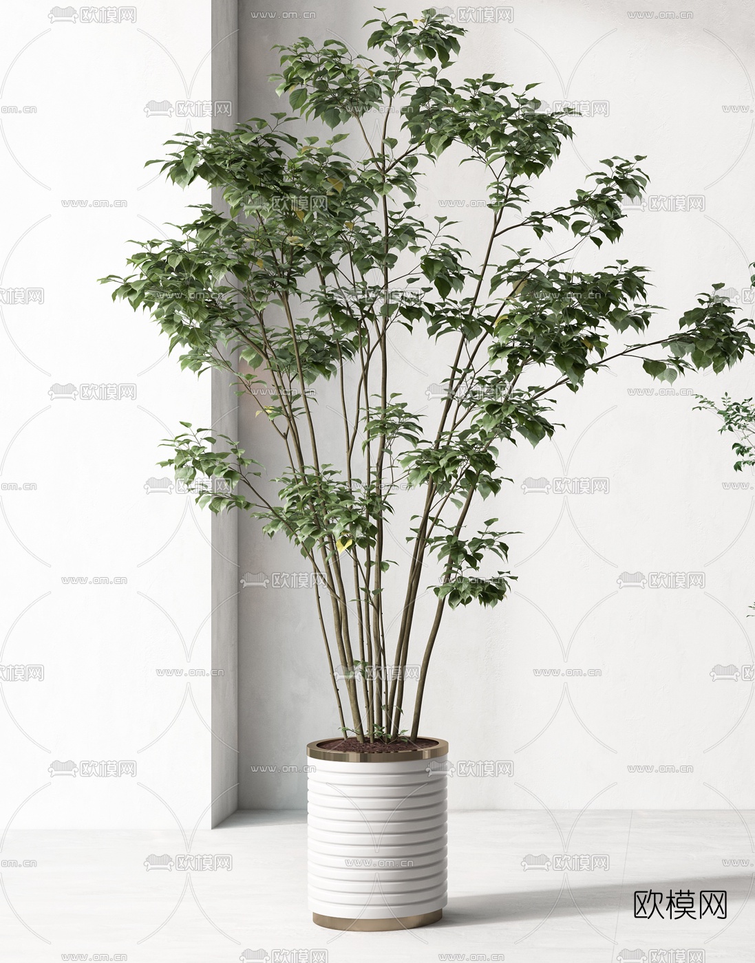 现代绿植盆栽3d模型下载（渲染图2）