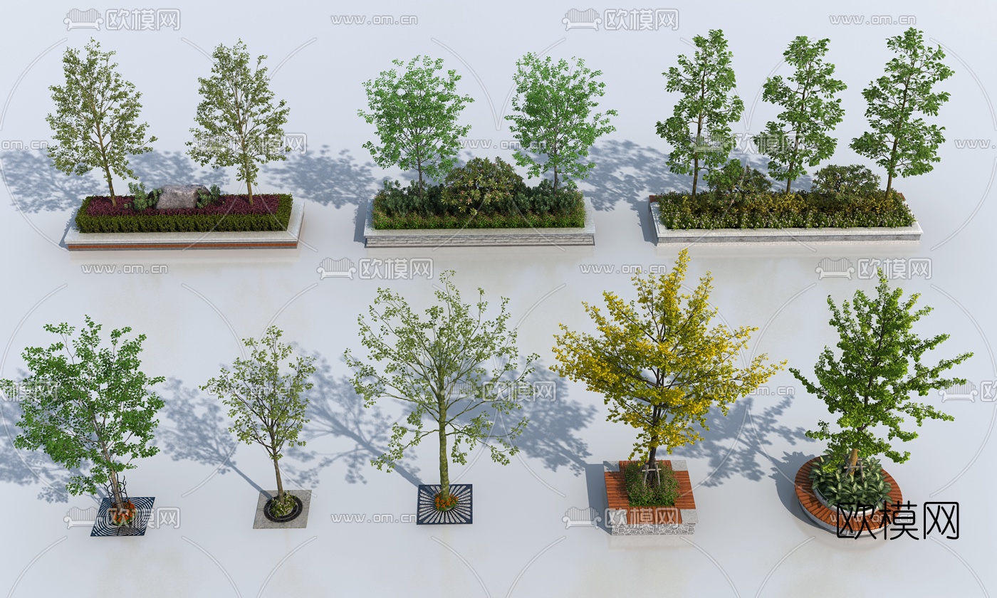现代绿化池景观树3d模型